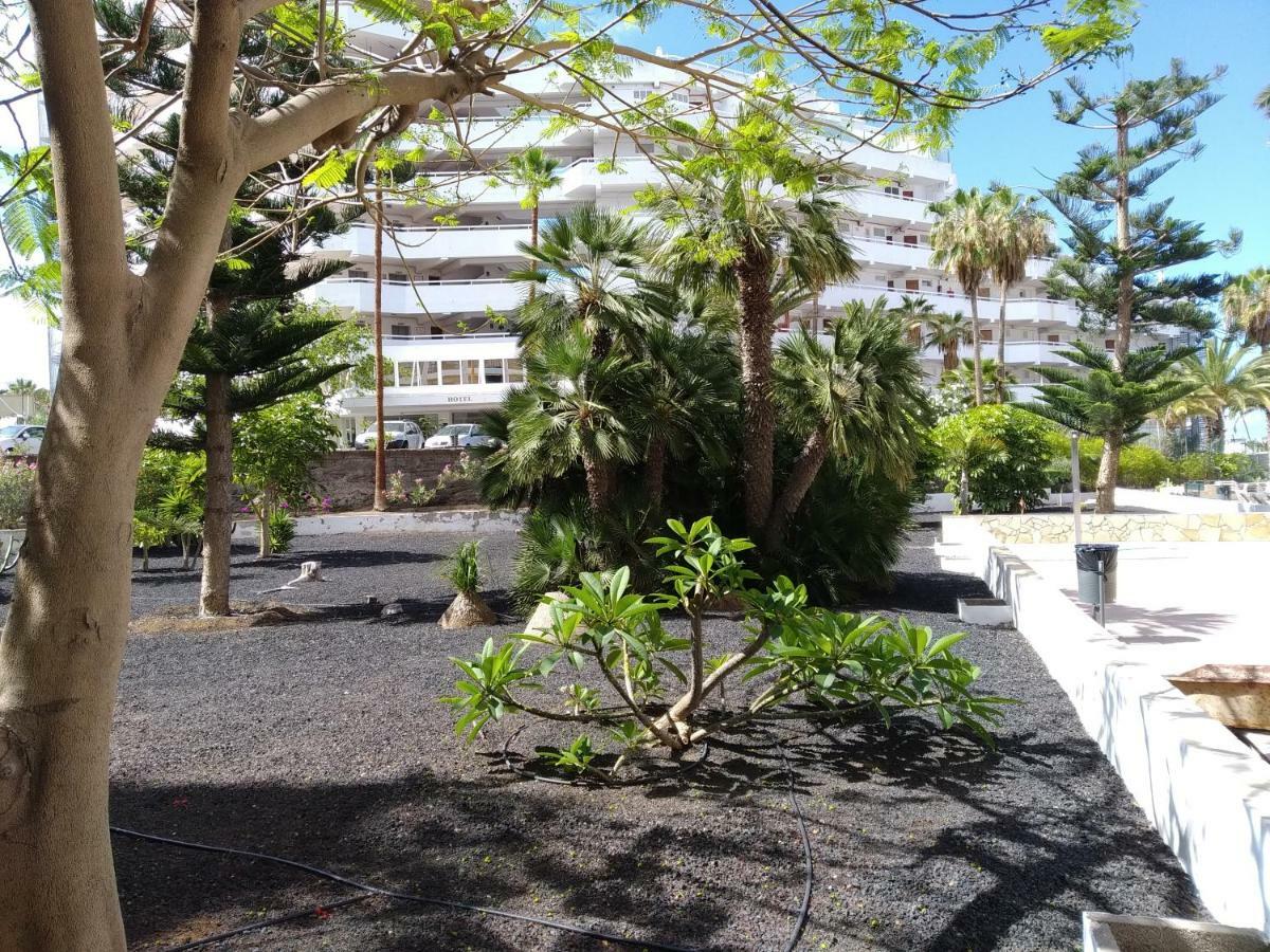 Appartement Vina Del Mar à Playa de las Américas Extérieur photo